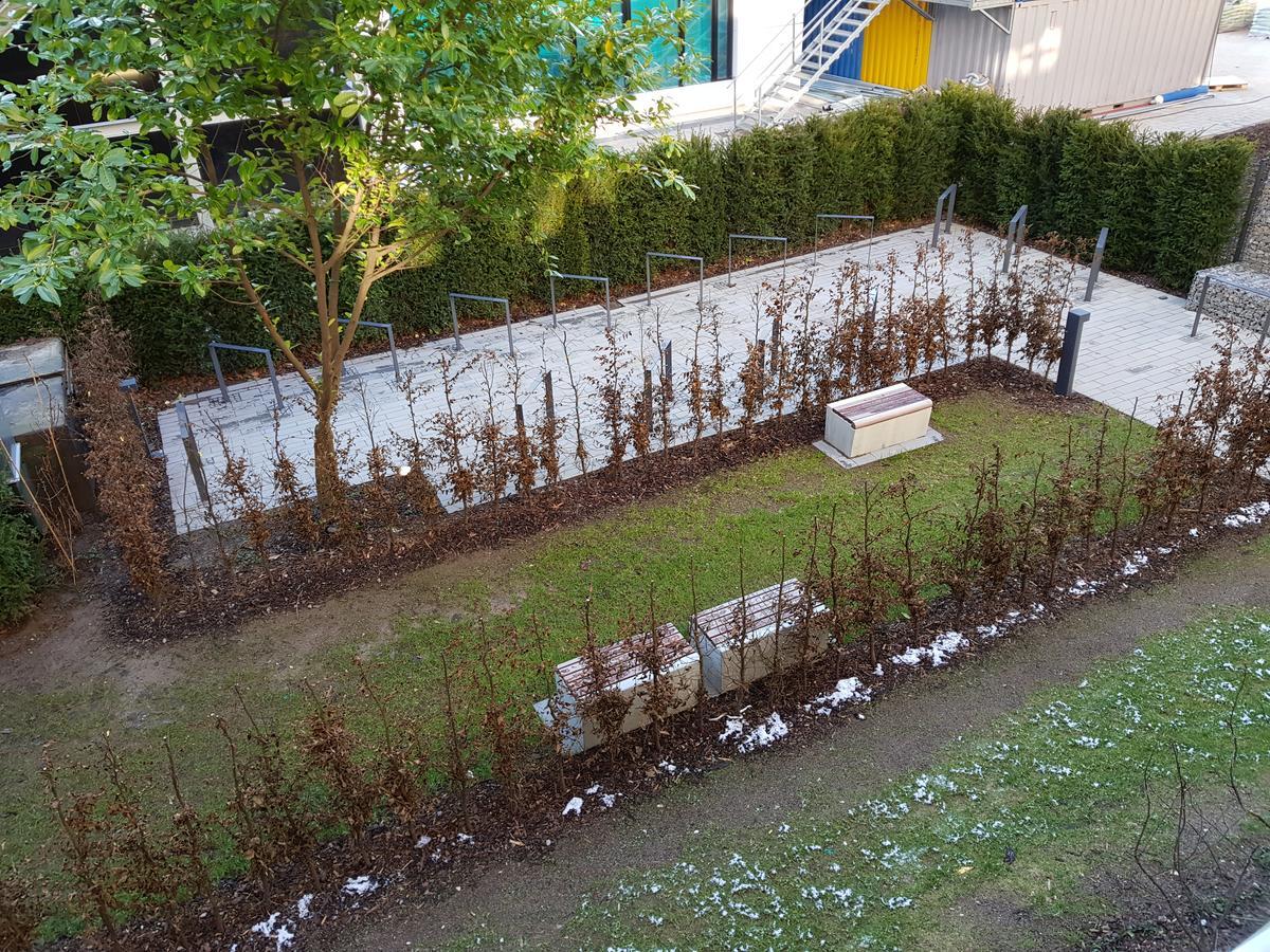 Cityapartments Duesseldorf City Екстериор снимка